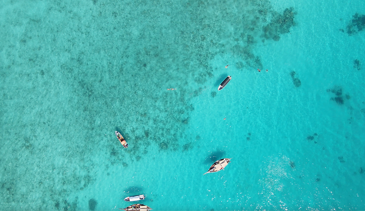 Lire la suite à propos de l’article ZANZIBAR