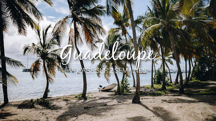 Lire la suite à propos de l’article GUADELOUPE